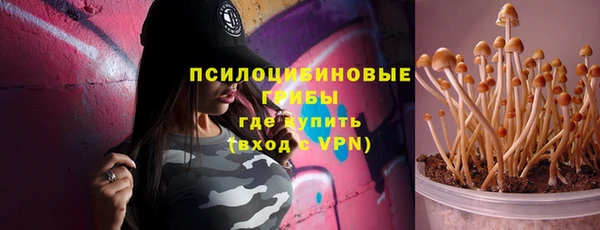 спиды Богородск
