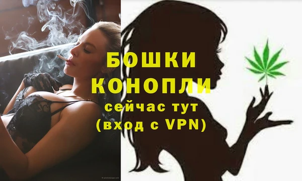 СК Богородицк