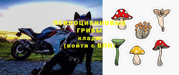спиды Богородск